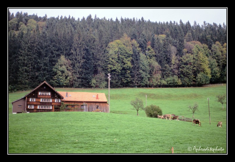 24 Typische Landschaft